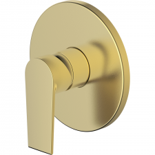 Vitruvius Rubicon Single lever concealed shower mixer with concealed box Brushed Gold